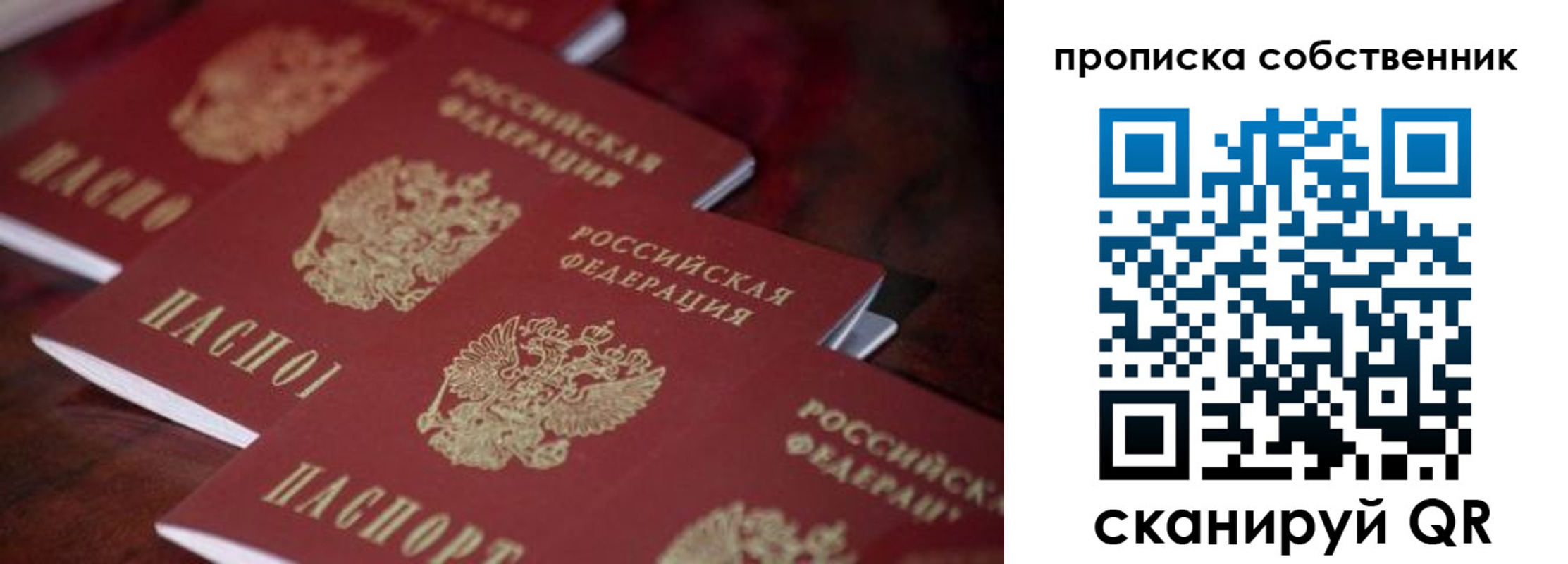 купить прописку в Оленегорске